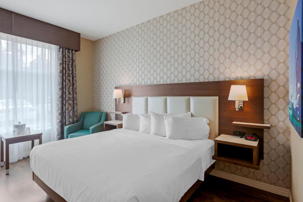 Best Western Plus St. John'S Airport Hotel And Suites Exteriör bild